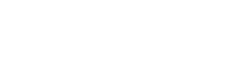 1031X